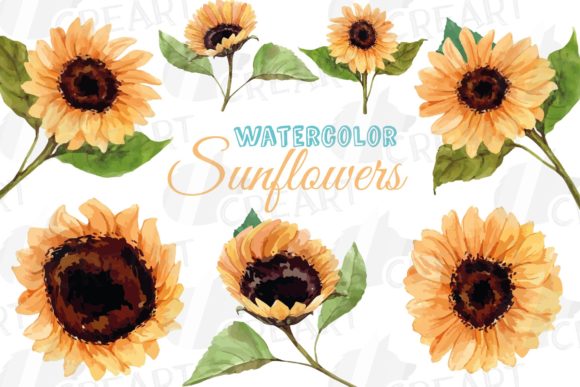 Sunflower Watercolor Decoration Clip Art for Creators
